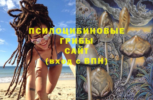 спиды Михайлов