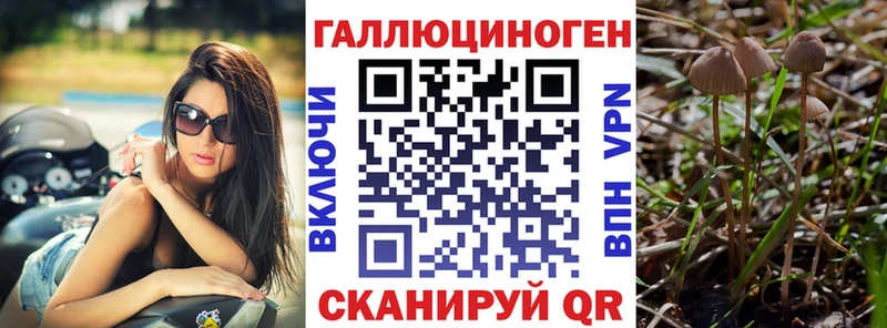 Купить закладки  Сухиничи  Псилоцибиновые грибы Magic Shrooms 